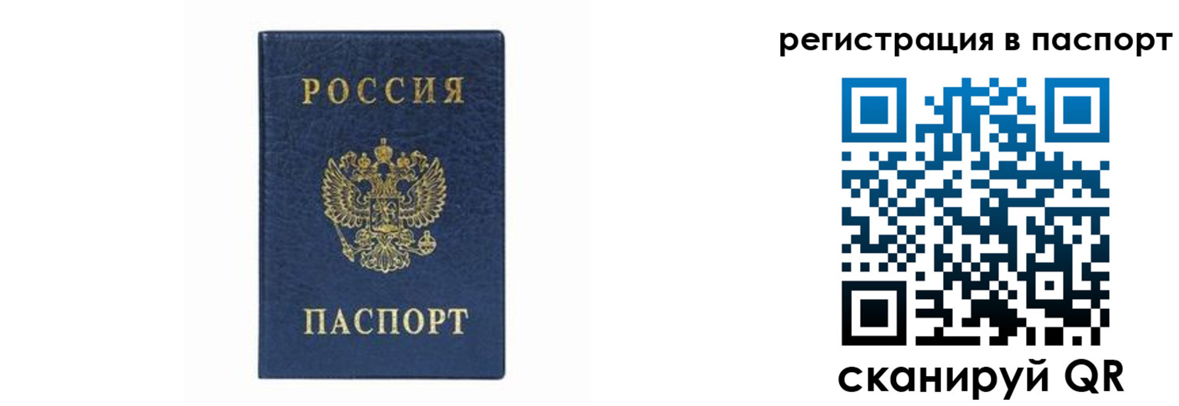 форма 3 в Соколе
